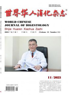 世界华人消化